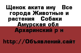 Щенок акита ину - Все города Животные и растения » Собаки   . Амурская обл.,Архаринский р-н